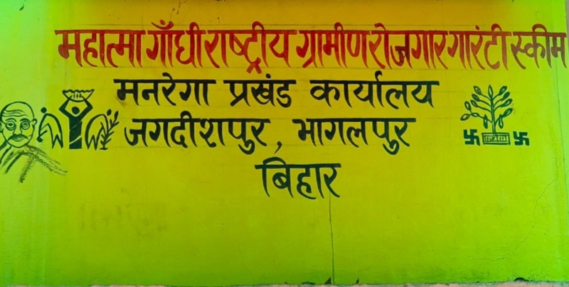 मनरेगा कार्यों में अनियमितता का आरोप, मजदूरों की जगह दूसरे लोगों से काम कराने का सवाल